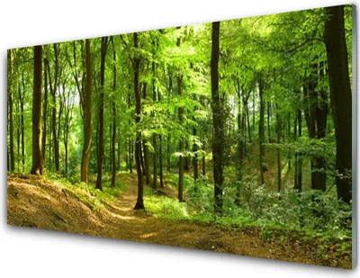 Produktbild von Acrylglasbilder 100x50 Wandbild Druck Wald Natur