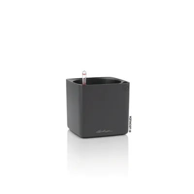 Produktbild von LECHUZA-Tischgefäß CUBE Premium 16 Basaltgrau Matt | Pflanzgefäß mit Bewässerungssystem | matte Oberfläche | 17 x 17 x 16 cm | 13536