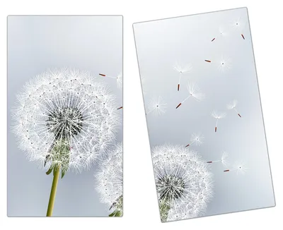 Produktbild von Spritzschutz Herdabdeckplatte Schneidebrett aus Glas Stielvoller Löwenzahn 2-Teilig (60x52cm)