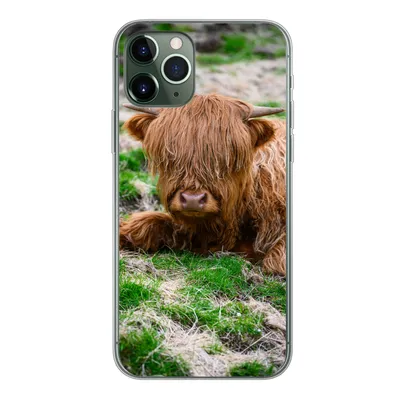 Produktbild von MuchoWow® Handyhülle Schutzhülle Hülle für iPhone 11 Pro Schottischer Highlander - Heu - Gras Silikon Softcase Handy Hülle - Handy