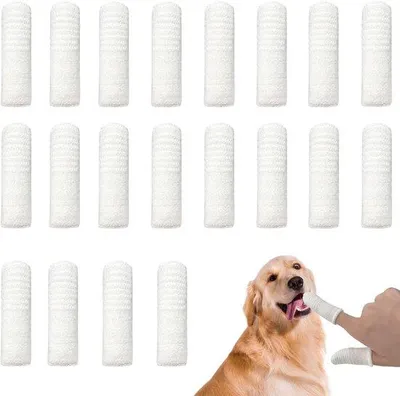 Produktbild von Herbruikbare vingerborstels voor kleine huisdieren