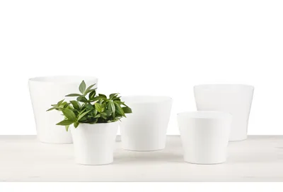 Produktbild von Scheurich 808/11 Uebertoepfe Panna; 11 cm x 11 cm x 9,3 cm, 31641