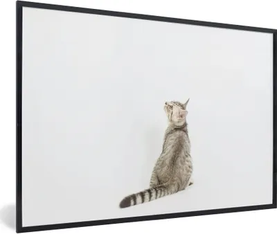 Produktbild von MuchoWow® Gerahmtes Poster Katze - Haustiere - Fell 90x60 cm - Poster mit Schwarzem Bilderrahmen Wandposter Rahmen Foto Bilder - Fotorahmen - Foto-Plakat