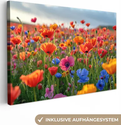 Produktbild von MuchoWow® - Leinwandbilder - Blumen - Mohnblumen - Farbenfroh - Natur, Wandbild, Wanddeko Bilder Wohnzimmer, 90x60 cm