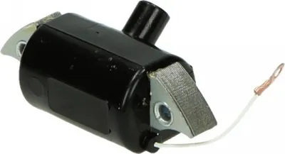 Image de Bobine d'allumage Bosch Maxi DMP