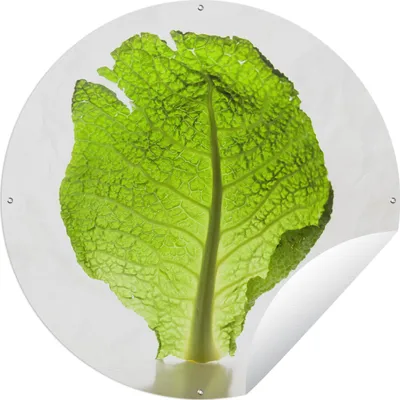 Produktbild von MuchoWow®
