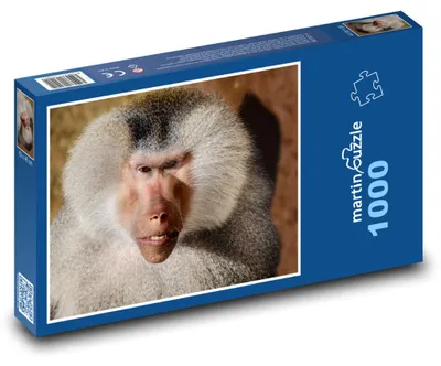 Obrázok produktu pre Puzzle 1000 Pavián v divokej prírode - martinpuzzle