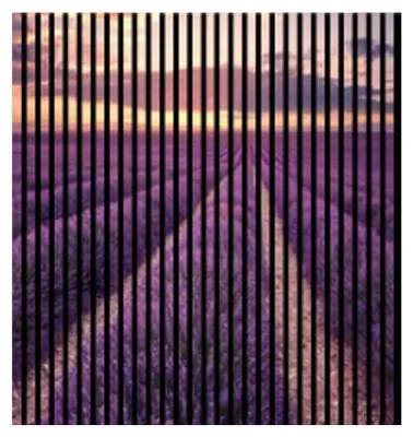 Produktbild von Akustikpaneele mit Digitaldruck Lavendel01 19 x 1133 x 1195 mm Lavandel Himmel MDF PET-Fasern Wandpaneele Lila 2 Einzelplatten