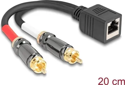 Immagine prodotto di DELOCK Adapter RJ45 Buchse < 2 x Cinch Stecker schwarz 20 cm