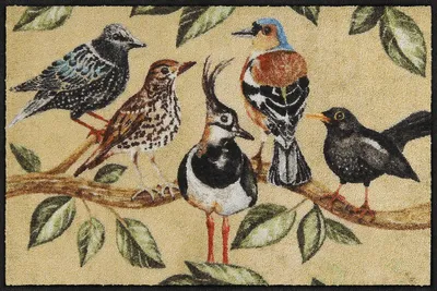 Produktbild von Salonloewe BIRD SONG Fußmatte Wohnmatte 50 x 75 cm