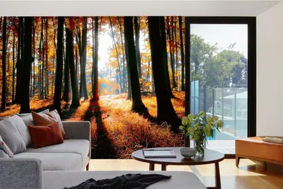 Produktbild von Vlies Fototapete BUNTER HERBSTWALD 375 x 250 cm (inkl. Kleister) - Vlies Tapete, Wandtapete, Wandbilder - Tapete für Wohnzimmer Schlafzimmer, Büro, Küche - Montagefertig