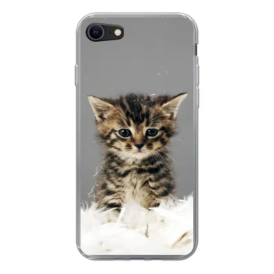 Produktbild von MuchoWow® Handyhülle Schutzhülle Hülle für iPhone SE 2020 Katze - Kätzchen - Federn Silikon Softcase Handy Hülle - Kartenbesitzer