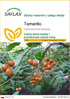 Zdjęcie produktu dla SAFLAX - Tamarillo - 50 Nasiona - Cyphomandra betacea