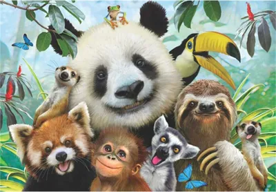 Obrázok produktu pre ANATOLIAN Puzzle Selfie zvierat zo zoo 500 dielikov