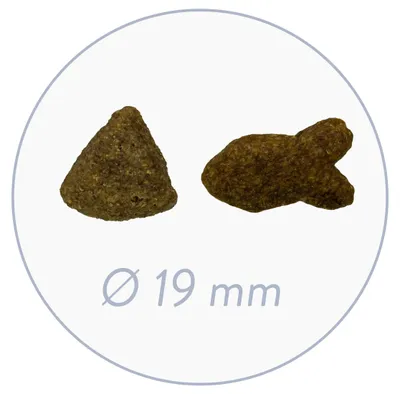 Immagine prodotto di Bosch 15 kg Adult Salmone e patate