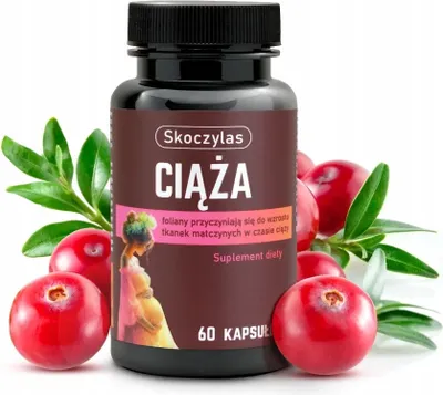 Produktbild von Skoczylas Pregnancy 60 Kapseln
