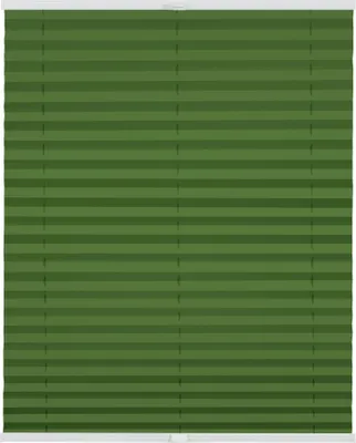 Produktbild von Lichtblick Plissee Klemmfix, ohne Bohren, verspannt, Verdunkelung - Grün Grün, 210 cm, 90 cm x 210 cm (B x L)