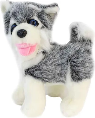 Produktbild von Husky Kuscheltier klein mit Kunststoffaugen - ca. 17 cm