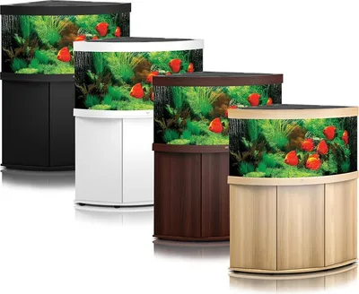 Produktbild von Juwel Trigon 350 LED schwarz - Aquarium Juwel