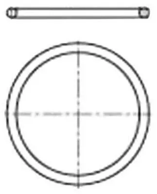 O-Ring Silikon transparent 200 DN für Flansch 5 Stück