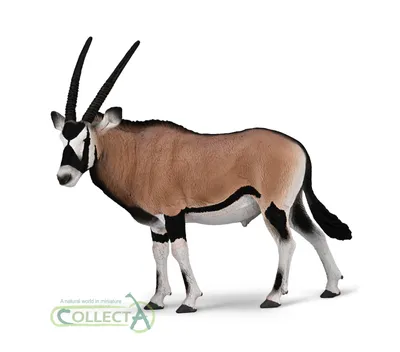 Produktbild von Collecta 80056 Spießbock Oryx Gazella 12 cm Wildtiere