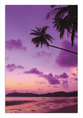 Produktbild von Wallario Wandbild Sonnenuntergang unter Palmen  Himmel in lila und orange, Größe: 61 x 91,5 cm, Poster mit rahmenlosen Bildhalter
