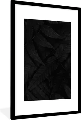 Produktbild von MuchoWow® Gerahmtes Poster Blätter - Schwarz - Weiß - Pflanzen - Botanisch 60x90 cm - Poster mit Schwarzem Bilderrahmen Wandposter Rahmen Foto Bilder - Dekoration - Wandposter Wohnzimmer - Hochwertig