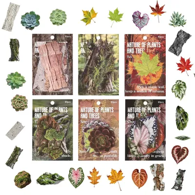 60 Herbst-Aufkleber, Naturmotive, Fensterdeko, Scrapbooking