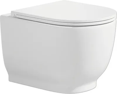 Produktbild von Wand-WC Set Artemis Tiefspüler ohne Spülrand weiß glänzend mit WC-Sitz 1273663