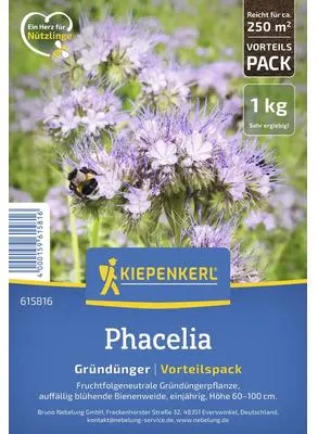 Produktbild von Phacelia Kiepenkerl Blumensamen 1 kg