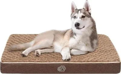 Immagine prodotto di Materasso ortopedico lavabile per cani - sfoderabile - letto per cani di taglia grande e media - 90 x 60 x 7,5 cm - borsa marrone per cani