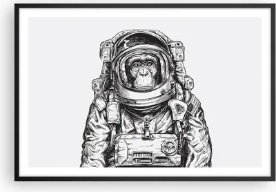 Produktbild von Gerahmtes Poster - Schwarzer Rahmen - Schimpanse Astronaut Zeichnung - 91,5x61 cm - Wand Bild - Wanddeko - Wandbilder - Wandposter - Bilderrahmen - Bilder - Kunstdruck - Wandbild - P2BAA91x61-4312