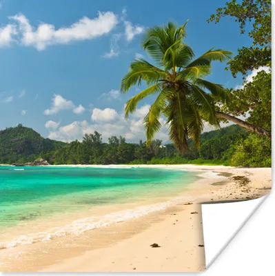 Produktbild von MuchoWow® Poster Tropisch - Insel - Strand 50x50 cm - Wohnzimmerdekoration