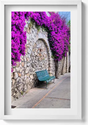 Produktbild von Straße mit Blumen in Capri, Italien– Wandbild mit Rahmen – Gerahmtes Bild  – Wanddekoration – 40x60 cm – Weiß