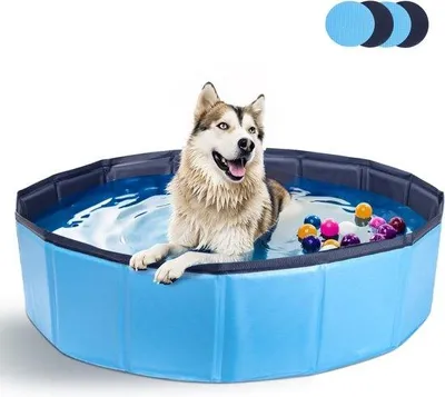 Produktbild von Famanu Hundepool 160 * 30 cm Blau Antirutsch PVC - Strapazierfähig