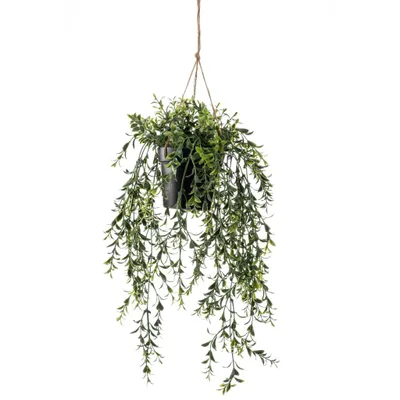 Productafbeelding van Zijdeplant Hangplant met pot Buxus kunstplant Driesprong Collection