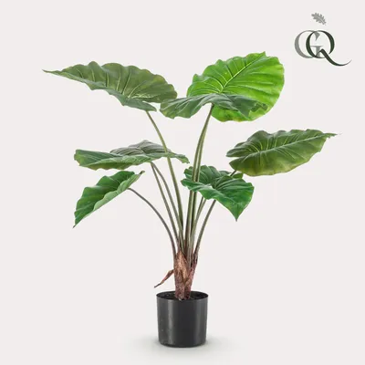 Image de Green boutiQ - Plante artificielle - Alocasia - Olifantsoor - 70 cm - Vert - Sans entretien - Haute qualité