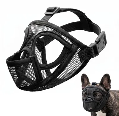 Produktbild von Maulkorb für Französische Bulldogge, verstellbar, atmungsaktiv, Mesh, Giftköderschutz