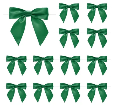 50 Satin-Schleifen, 11,5 cm, vorgebunden, für Geschenke & Basteln