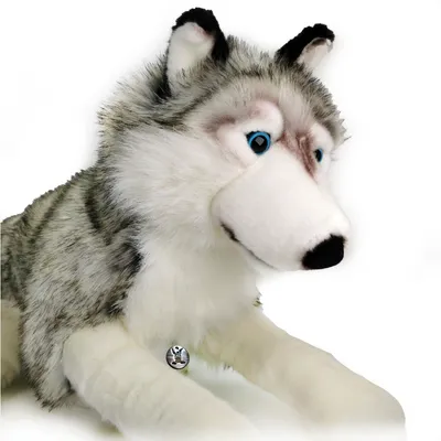 Produktbild von Wolf Husky Schlenkertier Grauwolf Plüschtier 80 cm XXL Schlenkerwolf ASKA