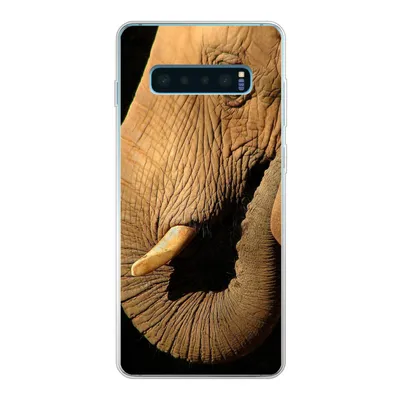 Produktbild von MuchoWow® Handyhülle Schutzhülle Hülle für Samsung Galaxy S10 Plus Elefant - Tiere - Nahaufnahme - Schwarz Silikon Softcase Handy Hülle - Schutzhülle