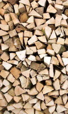 Zdjęcie produktu dla Fototapeta - Timber Logs 150x250cm - Tapeta flizelinowa