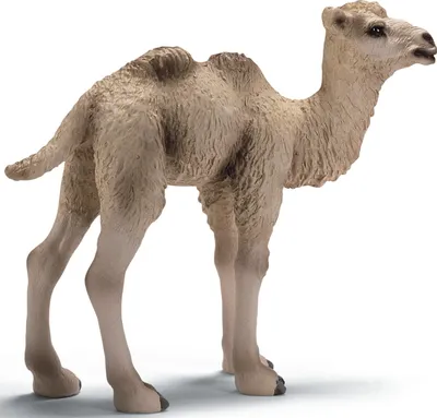 Obrázek produktu pro schleich 14602, 3 rok/roky, Hnědá, Plast