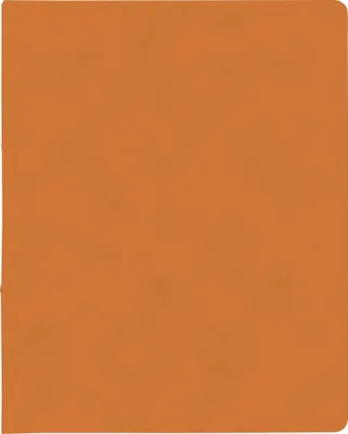 Produktbild von BRUNNEN Ringbuch A4 FACT!plus 2-Ringe 15mm orang 106550940