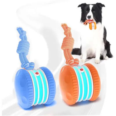 Produktbild von Interaktives Hundespielzeug Ball 2er Set, automatisch rollend mit Sensor, 2 Modi, USB-C wiederaufladbar, für kleine mittlere große Hunde