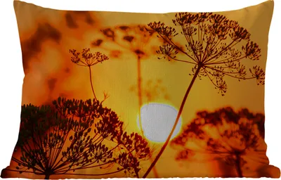 Produktbild von MuchoWow® Outdoor Kissen - Pflanzen - Blumen - Sonnenuntergang - Orange - 60x40 cm - Wetterfest - Lounge Kissen - Zierkissen - Kissen für Innenräume