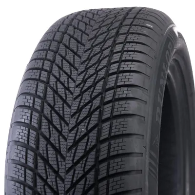 Obrázek produktu pro Dunlop Winter 205/65 R17 100 H
