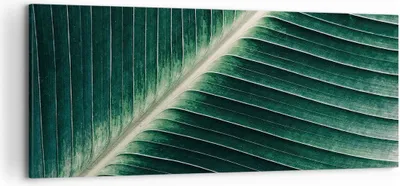 Produktbild von Bild auf Leinwand - Leinwandbild - Einteilig - Grün Blatt Tropisch - 120x50cm - Wand Bild - Wanddeko - Wandbilder - Leinwanddruck - Bilder - Wanddekoration - Leinwand bilder - Wandbild - AB120x50-4126