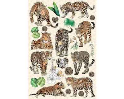 Obrázek produktu pro Samolepka na zeď Levhart 45x65 cm
