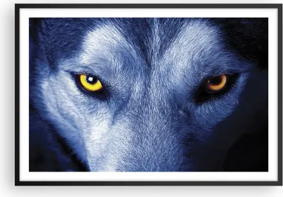 Produktbild von Gerahmtes Poster - Schwarzer Rahmen - Schau der Wolf Augen - 91,5x61 cm - Wand Bild - Wanddeko - Wandbilder - Kunstposter - Wandposter - Bilderrahmen - Bilder - Kunstdruck - P2BAA91x61-4587